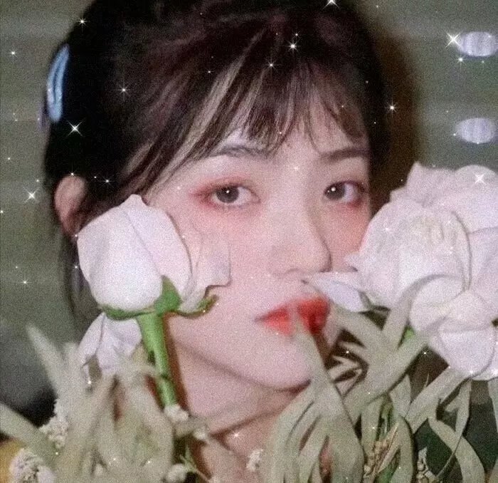 北漂明星梦之血泪史